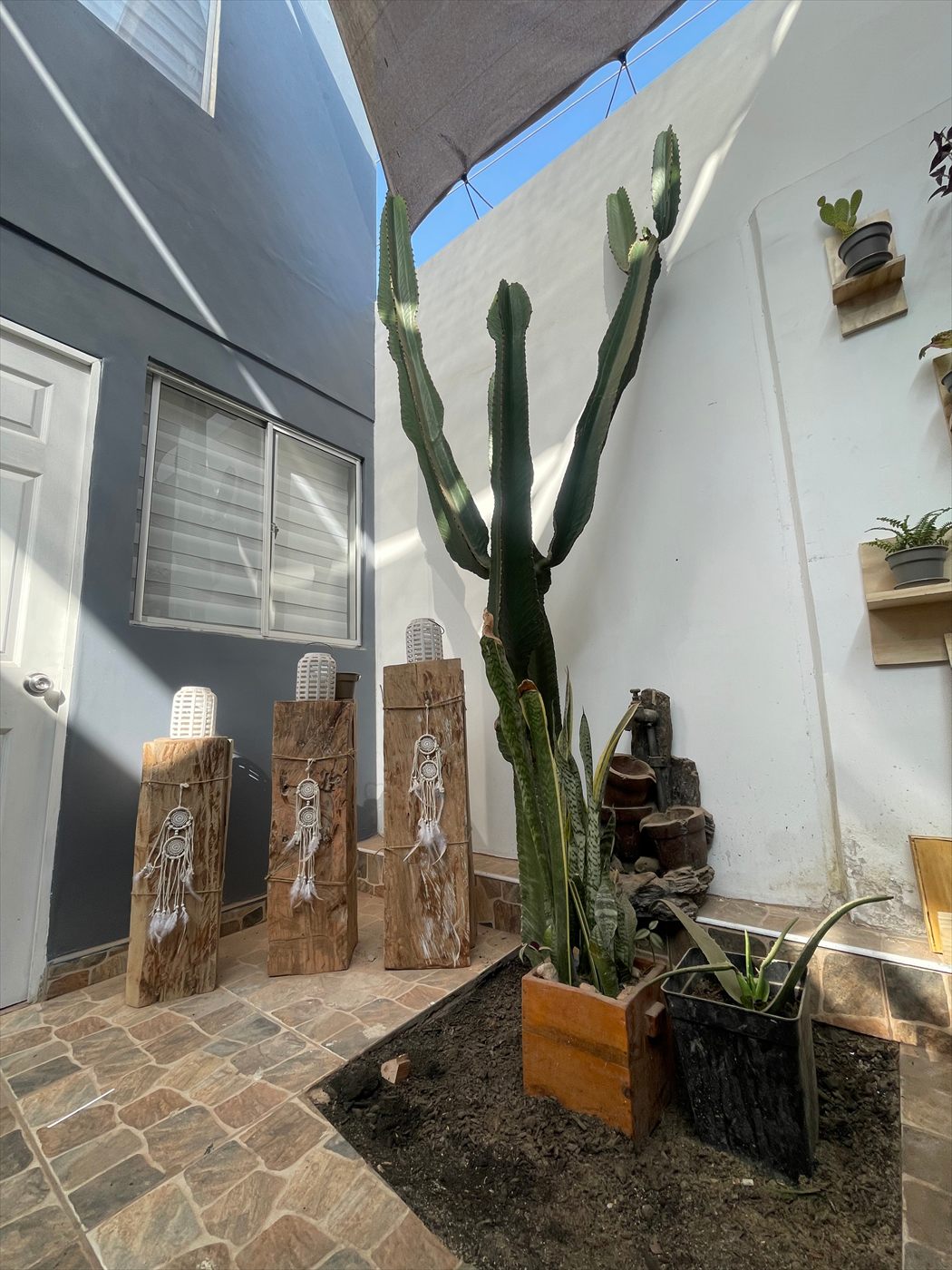 Jardín interior con cactus y adornos de madera